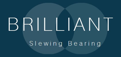 Brilliant Slewing Bearing Services